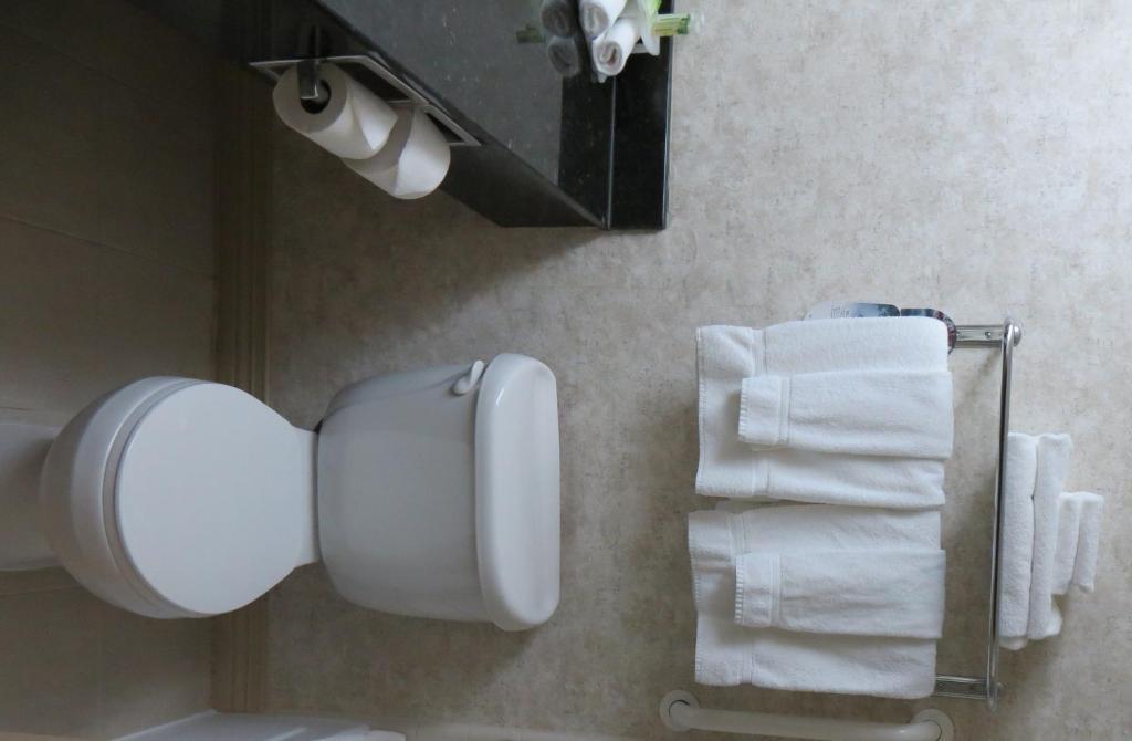 Holiday Inn Express Waycross Pokoj fotografie